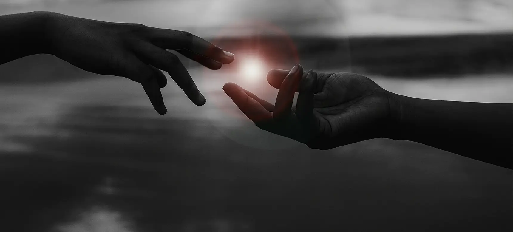 Creative Directions of NC