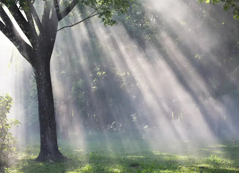 Creative Directions Leadership